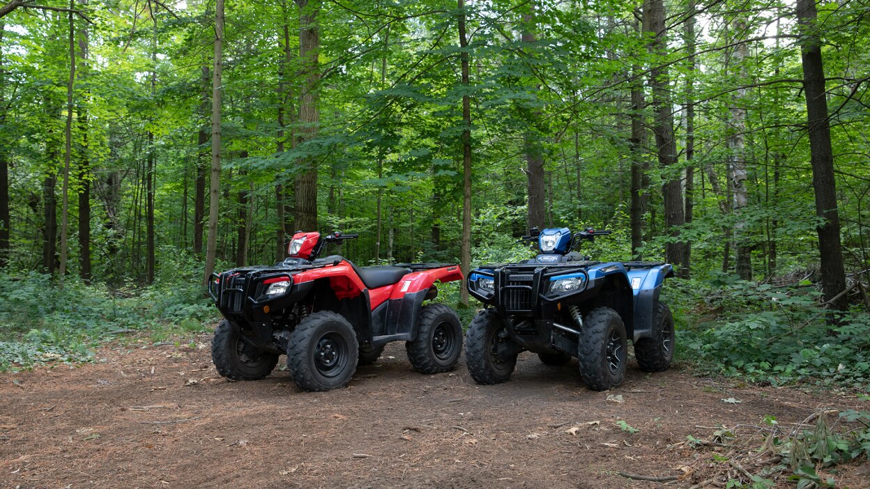 Two Honda Rubicons parked in a clearing