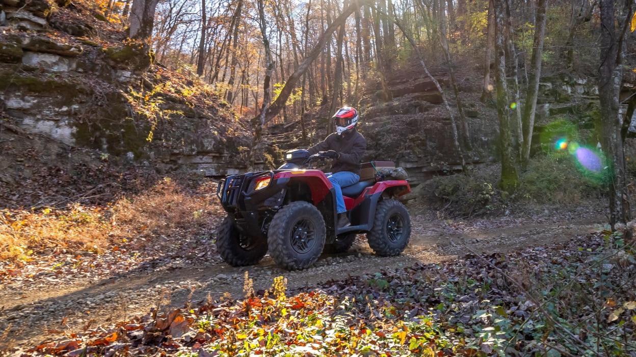 Un pilote sur une Honda Rubicon 700 sur un sentier verdoyant 