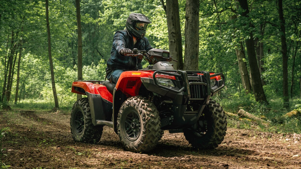 Personne sur Rubicon en forêt qui va à droite.