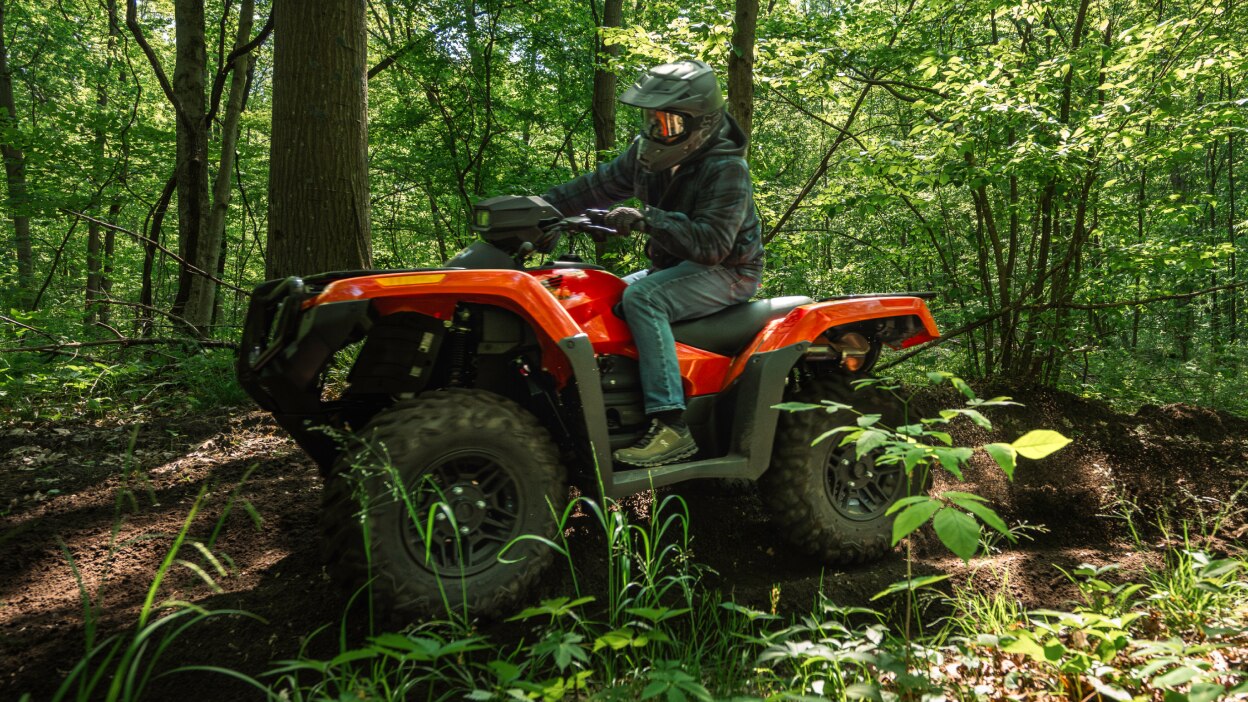 Personne sur Rubicon en forêt allant à gauche.
