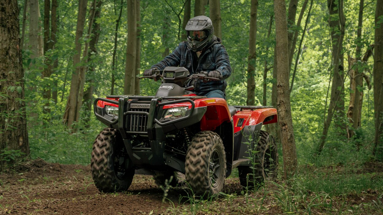 Personne sur Rubicon en forêt allant à gauche.