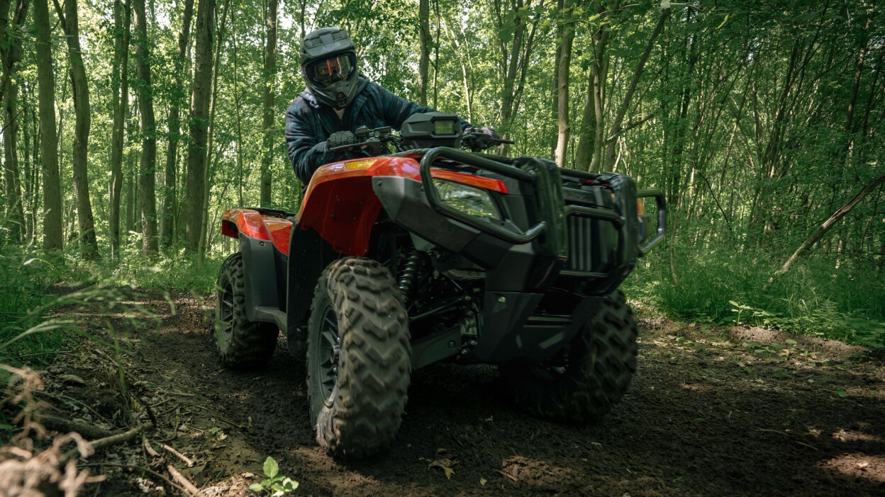 Front view of rider on Rubicon in woods.
