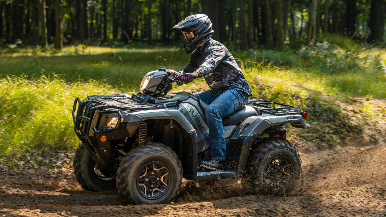 Left view of rider on Rubicon in woods.