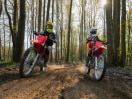 Deux coureurs sur Honda Trail Bikes dans les bois