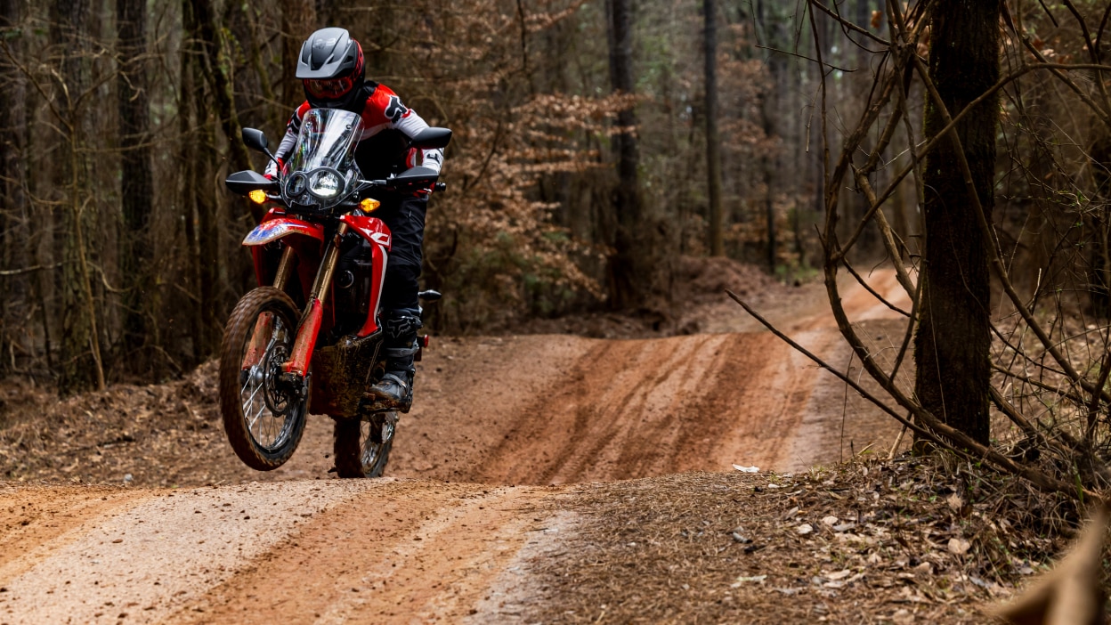 A rider on a Dual Sport motorcycle on a dirt trail