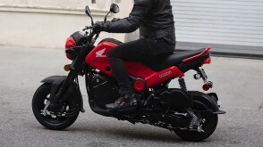 La Honda Navi : la petite moto pour les grands - Blogue, Articles et  Informations