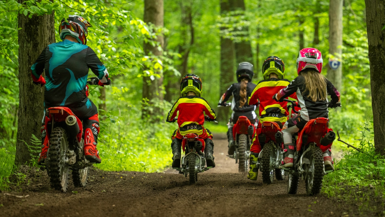 Vue arrière de deux cavaliers adultes et de trois jeunes conducteurs sur un chemin de terre en forêt.
