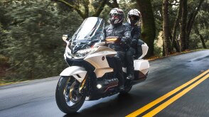 Deux coureurs sur un vélo blanc allant à gauche sur la route. Buissons et arbres en arrière-plan.