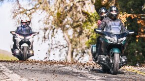  Deux coureurs sur vélo vert devant deux coureurs sur vélo blanc sur une route verdoyante. Arbre et buisson en arrière-plan à droite.