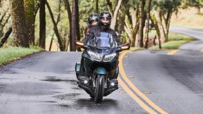 Deux coureurs en vélo vert sur route. Face avant. Tress en arrière-plan à gauche.