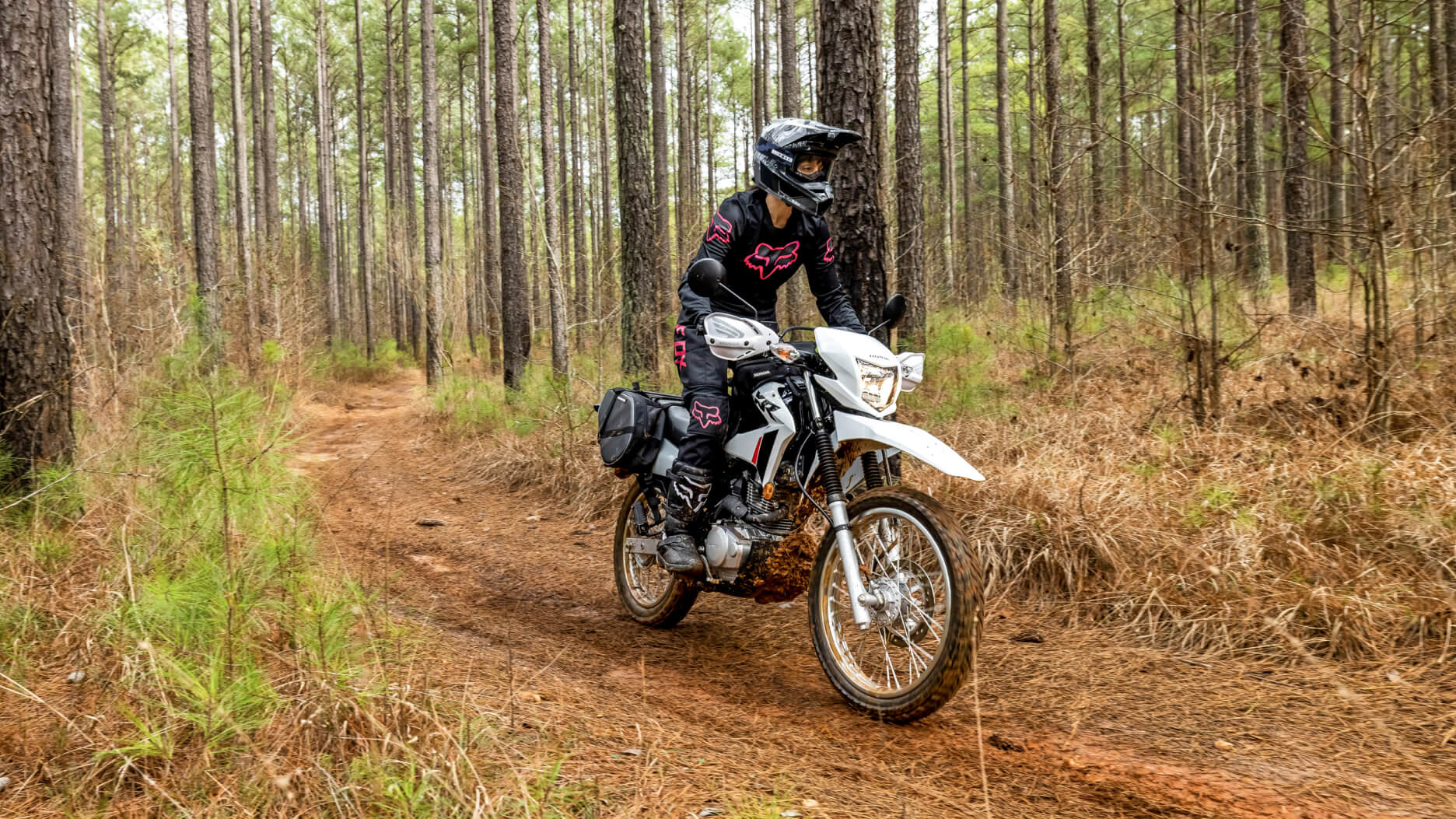 A rider on a Honda XR150L in the forest