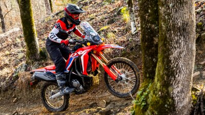 A rider on a trail in the woods. 