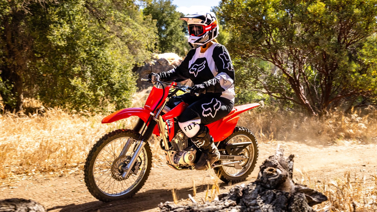 Rider on bike on dirt track going left. Green tree and bushes in background. Log in foreground.