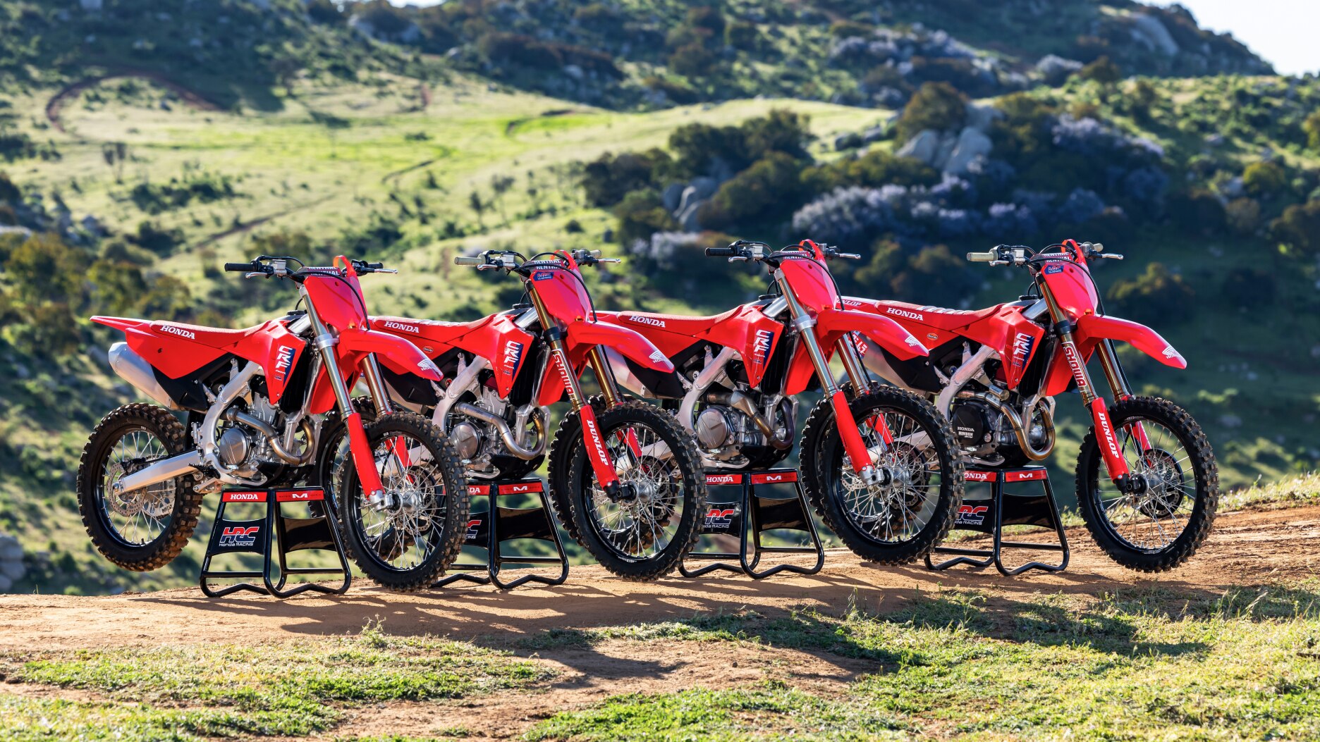 Four competition bikes on stands lined up.