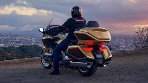 Rear view of rider stationary on Gold Wing. City in background.