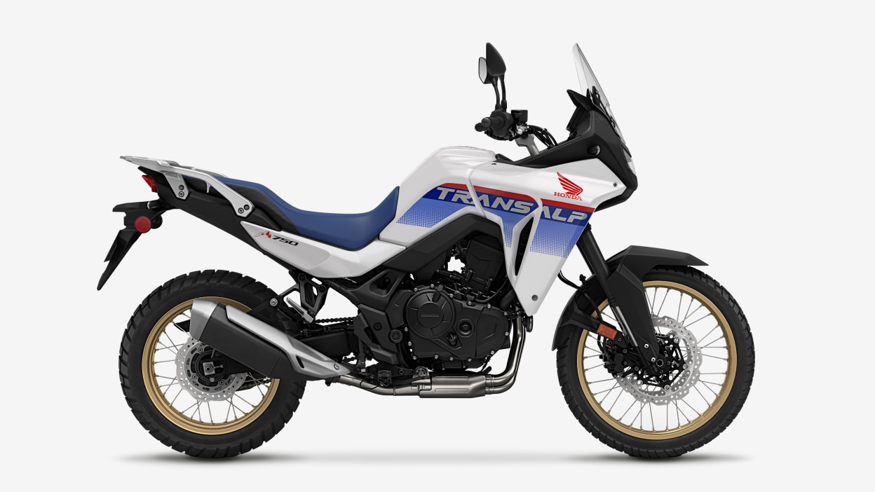 Image studio de droite de Transalp.