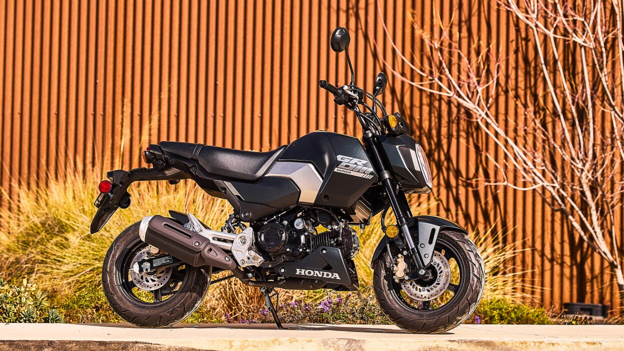 Honda Minimoto On Road Motorcycles Honda Powersports Canada