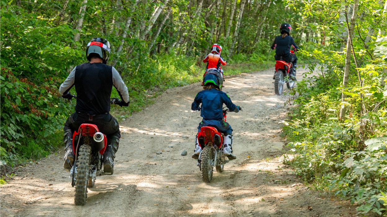A rider viewed from behind, heading deeper into a wooded trail.