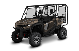 Pioneer 1000-5P Trail