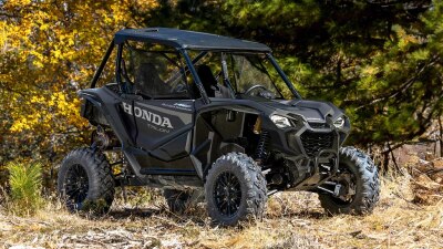 Right facing angle of Talon in grass landscape. Mix of green and yellow trees and bushes in background.